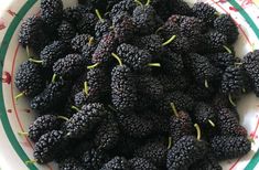 a white plate topped with blackberries on top of a table