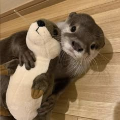 an otter hugging a stuffed animal on the floor