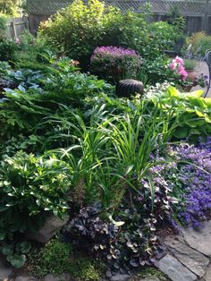 a garden filled with lots of different types of flowers