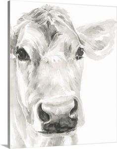 a black and white photo of a cow's face