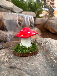 a small red mushroom sitting on top of a rock next to a waterfall in the forest