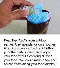 Fly Repellant, Astuces Diy, Diy Life Hacks, Diy Life, Outdoor Parties, Back To Nature