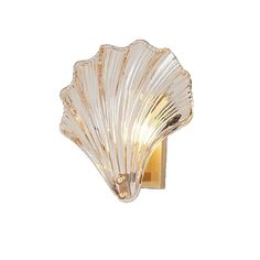 a scallop shaped wall light with a glass shell on the front and side