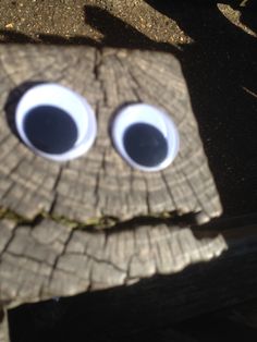 a piece of wood with two eyes on it