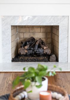 a fire place with a potted plant on the table