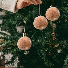 someone is hanging ornaments from the christmas tree with their hands and holding them in front of it