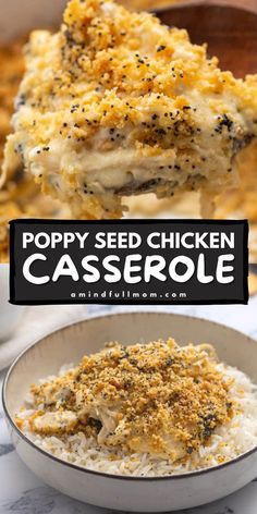 What could be better than the best comfort food recipe? Poppy Seed Chicken Casserole is a kid friendly, easy chicken casserole meal made with leftover chicken and a creamy sauce topped with buttery crackers. Make this comforting meal tonight! Poppyseed Chicken Recipe, Poppyseed Chicken, 30 Minute Meals Chicken, Poppy Seed Chicken Casserole, Poppy Seed Chicken, Turkey Casserole, Easy Casserole Recipes, Chicken Recipes Casserole, Easy Casserole