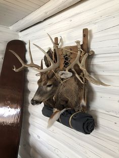 a deer head mounted to the side of a wall with antlers on it's back