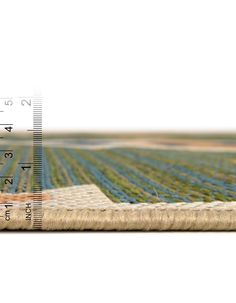 an area rug is shown with a ruler in front of it and the image shows rows of crops