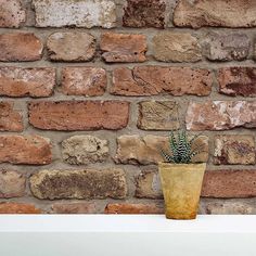 a potted plant sitting on top of a white shelf next to a brick wall