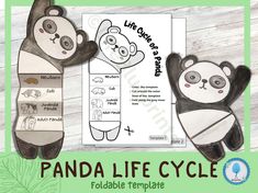 panda life cycle foldable template for kids to print and color with the instructions on it