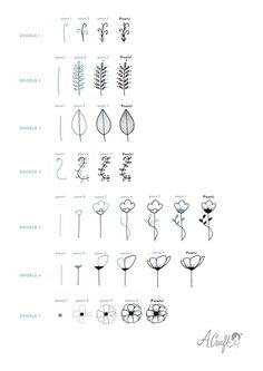 flowers and their names are shown in the diagram above it is an image of different types of flowers