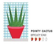 a red potted plant sitting on top of a blue checkered tablecloth with the words pointy cactus difficulty scale