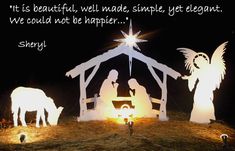 an outdoor nativity scene with lights and animals