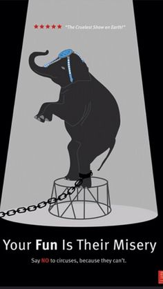 an elephant standing on top of a table with chains attached to it's trunk