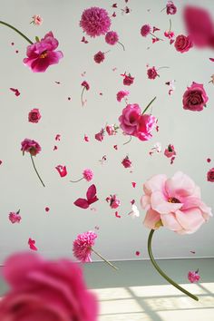 pink flowers floating in the air next to a wall with white and pink petals on it