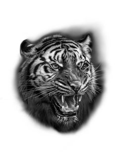 a black and white photo of a tiger with its mouth open