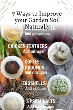 the seven ways to improve your garden soil naturally info poster with instructions for growing vegetables and herbs