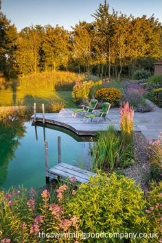 a wooden dock sitting in the middle of a lush green field