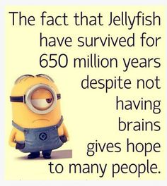 a minion sitting in front of a sign that says the fact that jellyfish have survived