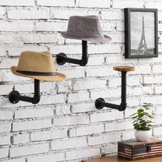 three hats are hanging on the wall next to a table with a potted plant