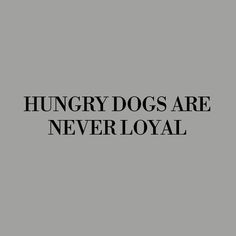 the words hungry dogs are never loyal on a gray background