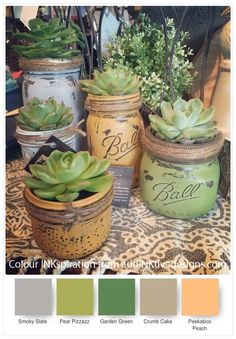 four jars with succulents are sitting on a table