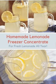 homemade lemonade freezer concentrate recipe for fresh lemonade all year