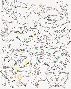 a drawing of many different types of animals