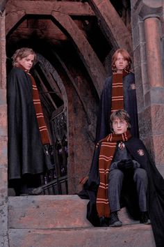 three children dressed in harry potter costumes sitting on some steps with their scarves around them