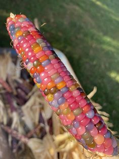 a corn cob with multi colored beads on it's end in the grass