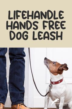 a dog on a leash with the words lifehandle hands free dog leash