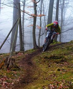 a person riding a bike down a trail in the woods on a foggy day