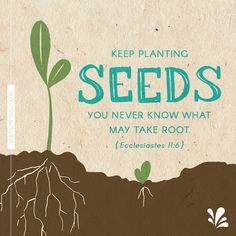 a seed plant with the words keep planting seeds you never know what may take root