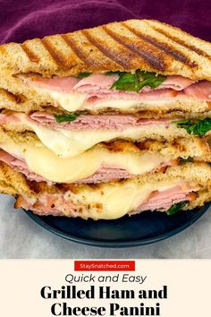 a grilled ham and cheese panini on a plate