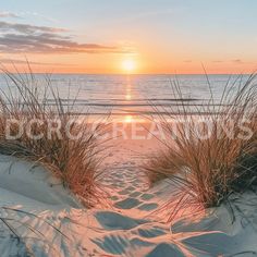 the sun is setting over the ocean and sand dunes with sea oats in the foreground