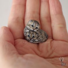 two tiny kittens sitting on top of each other in someone's hand,