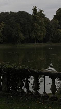 a large body of water with trees in the background and a bench on the shore