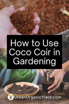 how to use coco coir in gardening