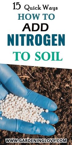 a person in blue gloves is holding up some white rocks with the words how to add nitrogen to soil