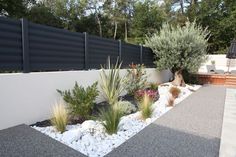 an outdoor garden with rocks and plants in the foreground, next to a black fence