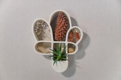 an arrangement of pine cones and plants in white vases on a wall mounted shelf