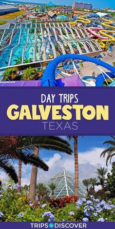 the top things to do in galveston texas with text overlay that reads day trips