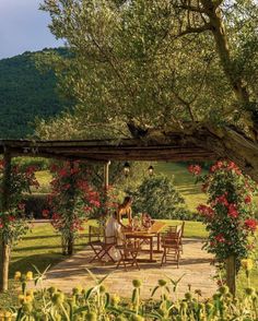 two people sitting at a table under a tree