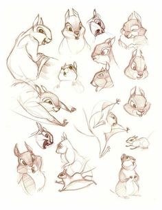 some drawings of different animals and their faces