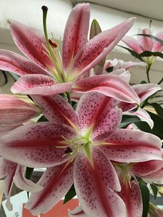 some pink flowers are in a glass vase