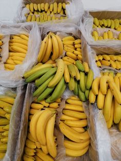 several bunches of bananas in plastic bags