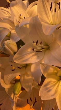 the white flowers are blooming in the vase on the table top, and it is hard to tell what color they are