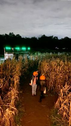 two people walking through a corn field at night