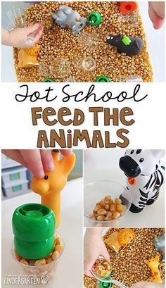 this is a collage of pictures with animals and food in them for kids to eat